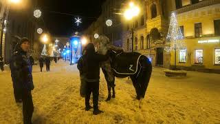 01.01.2022  йилда кечки сайр город Санкт-Петербург