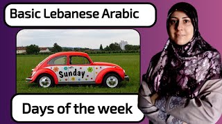 The days of the week in Lebanese dialect 🇱🇧 basic Lebanese Arabic#tigermum #2022