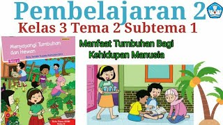 Materi dan jawaban kelas 3 Tema 2 Subtema 1/ Manfaat Tumbuhan Bagi Kehidupan Manusia//Pembelajaran 2