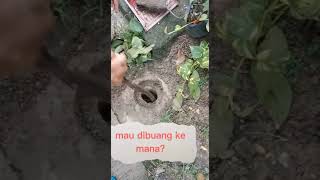 mengelola sampah lingkungan seri 3 (sampah organik apapun bisa dibuang ke lubang resapan biopori)