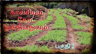 நீலகிரி கேரட் பகுதி 2 கால்சியம்| carrot cultivation part 2 Calcium