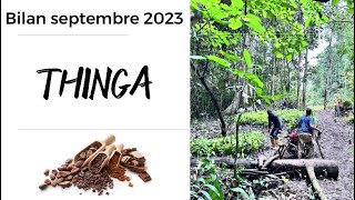 THINGA - Septembre 2023