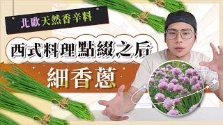 【這香草中看又中用!】細香蔥蝦夷蔥 Chives｜西式料理的點綴之后｜法國料理中的四大香草之一｜香料老司機 Rex｜#香料QA77