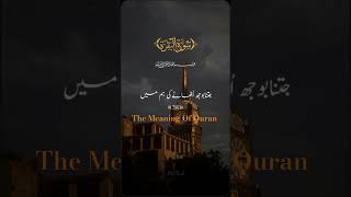 Quran Tilawat Surah Al - Baqarah | Quran Recitation Verse Urdu Tarjumah | #youtubeshorts 🤲🤲🤲😊😊😊