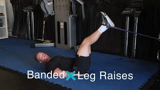 Banded Leg Raises I Dollar Train Club