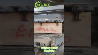 China Good Quality Horizontal Slicer Machine Slicing Fast｜Hummingbird Machinery Manufacturer