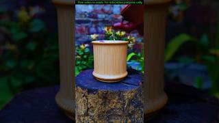 Bamboo Tree Unique Cup 🤯 Wood working with art handcraft ideas | skill-art #shorts