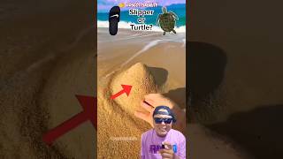 DI DALAM PASIR ITU SANDAL ATAU KURA KURA ⁉️ #challenge #funny #ocean #sand #shorts #shortsviral