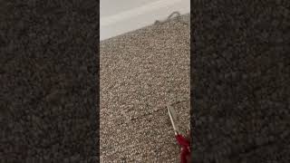 SEAM CARPET REPAIR