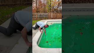 OFF SEASON  Pool Maintenance