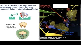 #PYRX DOCKING#VINA DOCKING#Multiple LIGAND DOCKING#2D-VISUALISATION#DISCOVERY STUDIO VISUALISER#DOCK