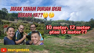 JARAK IDEAL MENANAM DURIAN | UNTUK JANGKA PANJANG #musangking #bawor #thailand