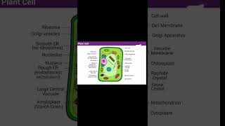 CELL #biology  #shorts #trending