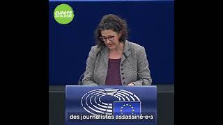 Gwendoline Delbos-Corfield sur la mise à jour du cadre législatif de lutte contre la corruption