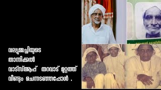 വല്യുമ്മച്ചിയുടെ താന്നിക്കൽ  വാട്സ്ആപ്പ്  തറവാട് മുറ്റത്ത് വീണ്ടും ചെന്നടഞ്ഞപ്പോൾ . DR KHALEEL VLOG