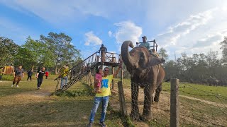 Jungle safari #safari #elephantride #nepal