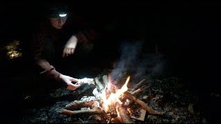 Camp Fire Catch and Cook (Yellow Perch)