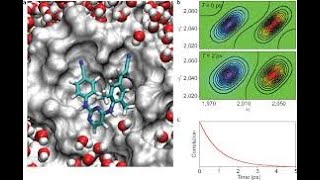 #Protein Preparation for Docking# PROTEIN MODELING ACTIVE SITE PREDICTION#PROTEIN-PEPTIDE MODELING