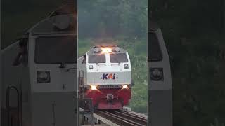 MOMENT KA SERAYU MELINTAS DIATAS JEMBATAN CIKUBANG #kai #keretaapi #shorts