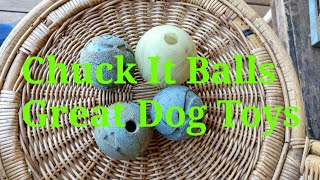 Chuck It Ball Review Great Dog Toys