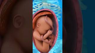 New Baby 3D Animation video #shorts