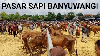 KONDISI PASAR SAPI WONGSOREJO BANYUWANGI TETAP RAMAI MESKI ADA ISU PENUTUPAN PASAR AKIBAT COVID-19