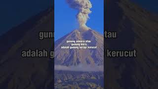 Gunung Semeru | profil gunung semeru #gunung #pendaki #tentang #videoshort #wisata #shorts