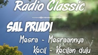 Sal Priadi - Mesra-mesraannya Kecil-kecilan dulu | Lirik