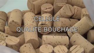 Cellule qualité bouchage - conseil œnologique