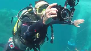 Great Barrier Reef Sea Floor