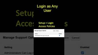 Admin Can Login As Everyone