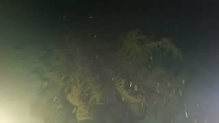 Playa Lagun Night Dive Video, 1-13-24, Curaçao