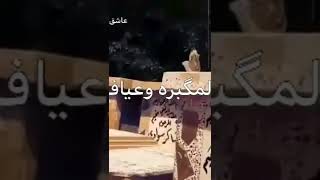 ساكنين المگبره وعايفين دريگم😭