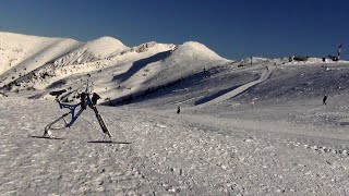 Hej polecioł  ptaszek przez ten CHLEBski lasek (skibike)