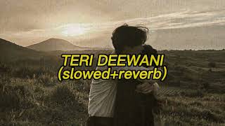 TERI DEEWANI [slowed + reverb] - Kailash Kher