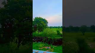 #shortvideo #shortvideo #shortfeed #naturelovers #trending #nature #naturelovers #shortfeed #shorts