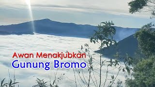 Gunung Bromo: Pesona Alam Pagi Hari yang Menakjubkan