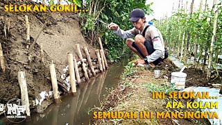 SELOKAN TERGOKIL BRO || Mancingnya semudah ini... #microfishing #mancingwader #mancingliar