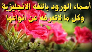 أسماء الورود باللغة الإنجليزية وأنواعها وكل ما لاتعرفه عن الورود