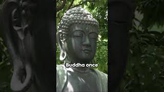 Buddha's Wisdom: Seeing Mistakes #selfdiscovery #wisdom #buddha