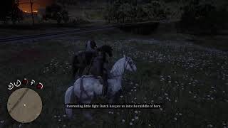 Red Dead Redemption 2 story mode just chilling