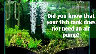 Aquarium air pump facts