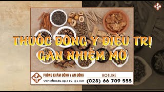 Cách chữa gan nhiễm mỡ bằng đông y