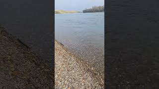 ein #schiff mit Bak fährt zu Berg auf dem #rhein  Teil 7  #shortsvideo #shorts