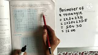 Problem set 49  Class 5 (part 2)Perimeter and Area