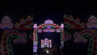 Durga puja 2024 #durgapuja #festival #kolkata #lighting #youtubeshorts #shorts