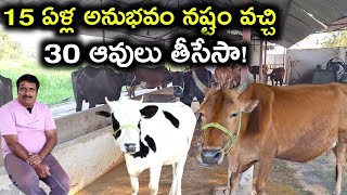 నష్టం రావటం తో వదిలేసా Desi cows dairy farm @MalleshAdla