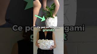 Ce mot grandit en même temps que la plante #plante