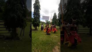 Tarian Penyambutan para Tamu Terhormat di Sumba tarian Woleka