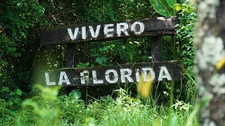 VIVERO PROVINCIAL LA FLORIDA